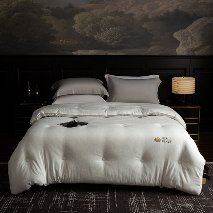 被靠被 2024新款A类石墨烯3D黑金被被子被芯 3D黑金被-白