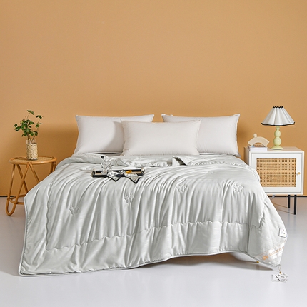 默忆 2025新款100%桑蚕丝被子被芯春秋被空调被夏被冬被子母被 灰色