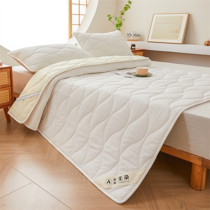 91家纺网 家纺一手货源 找家纺 3C 新款A类无染全棉抑菌棉花夹棉床护垫 无染-云朵白