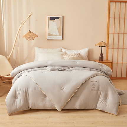 典冠 2024新款A类原棉提花大豆子母被被子被芯 月影灰