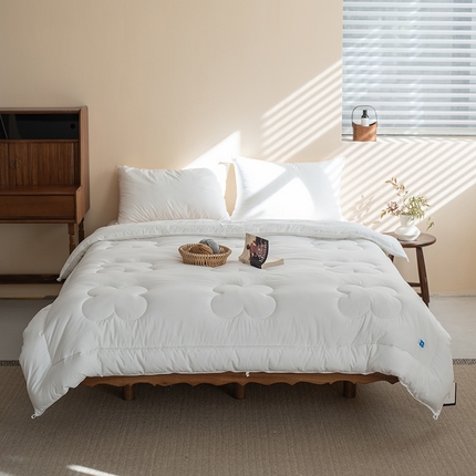 （总）小春日和 2024新款白色抗菌被芯双人被子2m加厚保暖冬被春秋被6斤白色柔软被芯1.5m加大被