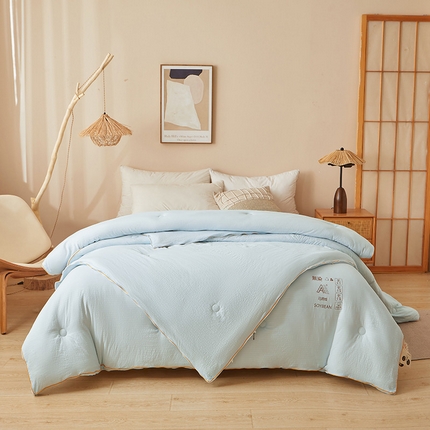 典冠 2024新款A类原棉提花大豆子母被被子被芯 天空蓝