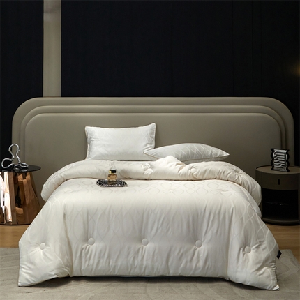 91家纺网 家纺一手货源 找家纺 （总）头等舱 2025新款乐棉（全棉）贡缎60S大提花80大豆7A抗菌秋冬被（配包装）