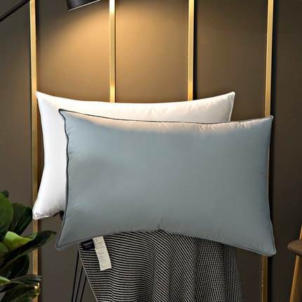 91家纺网 家纺一手货源 找家纺 （总）颐羽达 新款60贡缎立体双层羽绒枕 纯棉鹅绒枕酒店民宿枕芯批发