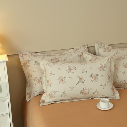 大吉 2024新款全棉磨毛单枕套 秋香