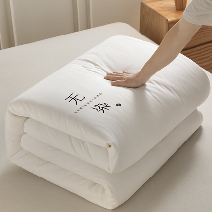 91家纺网 家纺一手货源 找家纺 利欧 2025新款A类无染大豆被家用被子被芯-风格2 无染白