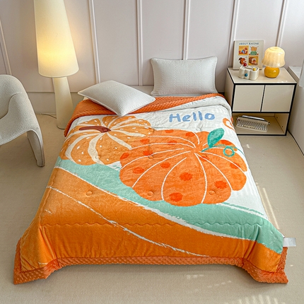 91家纺网 家纺一手货源 找家纺 （总）源舜家纺  2025新款云貂绒豆豆被冬被