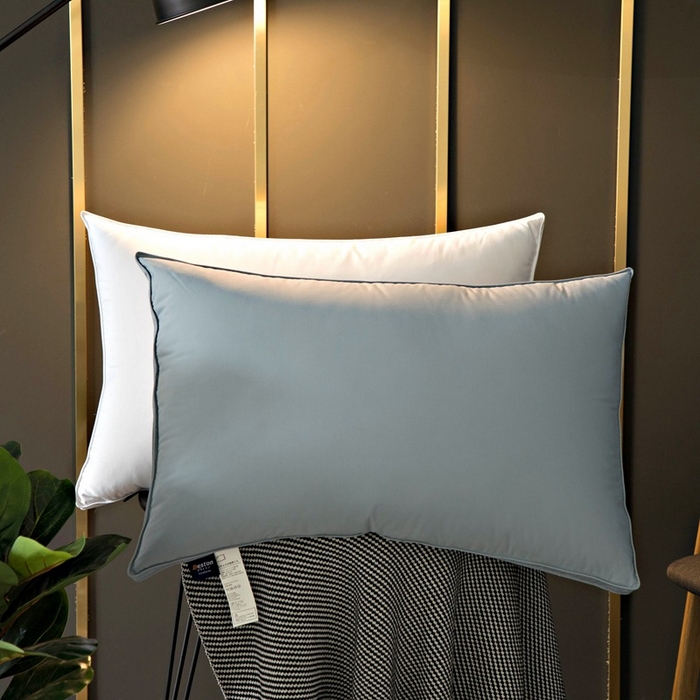 91家纺网 家纺一手货源 找家纺 （总）颐羽达 新款60贡缎立体双层羽绒枕 纯棉鹅绒枕酒店民宿枕芯批发