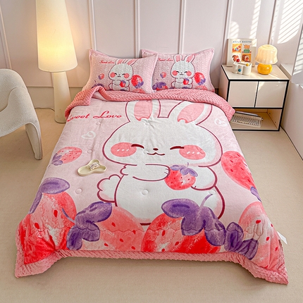 91家纺网 家纺一手货源 找家纺 （总）源舜家纺  2025新款云貂绒豆豆被冬被