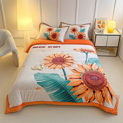 91家纺网 家纺一手货源 找家纺 （总）源舜家纺  2025新款云貂绒豆豆被冬被