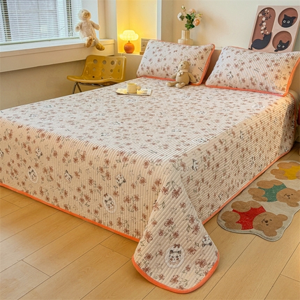 2024新款全棉卡通印花宝宝绒双拼床盖床垫布偶猫