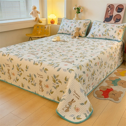 2024新款全棉卡通印花宝宝绒双拼床盖床垫蔚蓝