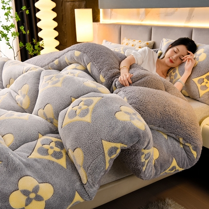 锦逸家居 2024新款AB版雪花绒冬被羊羔绒冬被被子被芯春秋被 时尚格调