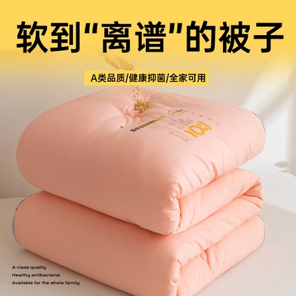 91家纺网 家纺一手货源 找家纺 （总）风蝴蝶 提供买家秀-2025新款云柔棉大豆纤维拉链子母被春秋被冬被大豆被芯