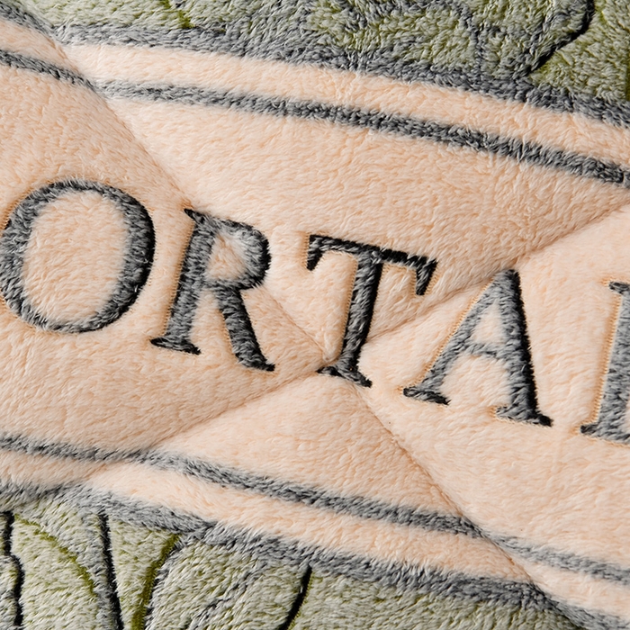 91家纺网 家纺一手货源 找家纺 锦逸家居 2024新款AB版雪花绒冬被羊羔绒冬被被子被芯春秋被 薄荷曼波