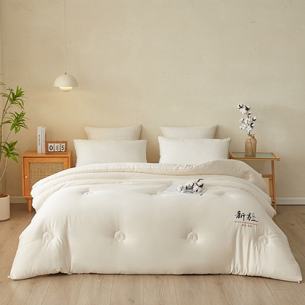 91家纺网 家纺一手货源 找家纺 （总）梦镜家纺 2025新款A类棉花被-款式一