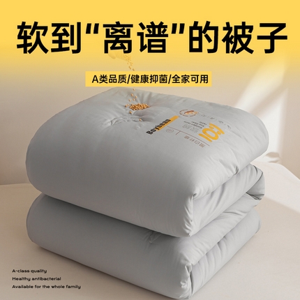 91家纺网 家纺一手货源 找家纺 风蝴蝶 提供买家秀-2025新款云柔棉大豆纤维拉链子母被春秋被冬被大豆被芯 云柔棉-浅灰色