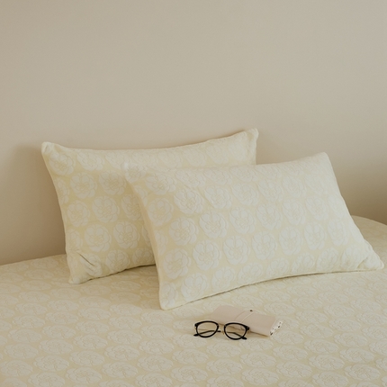 91家纺网 家纺一手货源 找家纺 （总）时光里 2024新款230克雕花绒枕套