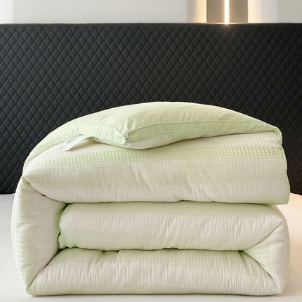 蓝冰家纺 2024新款渐变华夫格大豆被冬被 网格时代--浅绿色