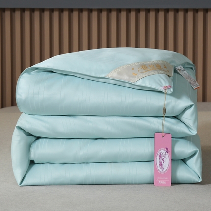 91家纺网 家纺一手货源 找家纺 尚品家纺 2024新款全棉提花蚕丝子母被冬被春秋被被子 珊瑚绿