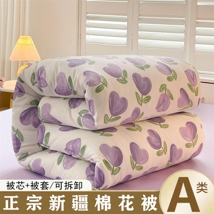 91家纺网 家纺一手货源 找家纺 晓时候 2025新款印花水洗棉新疆棉花被可拆洗被子被芯冬被春秋被 郁金香紫