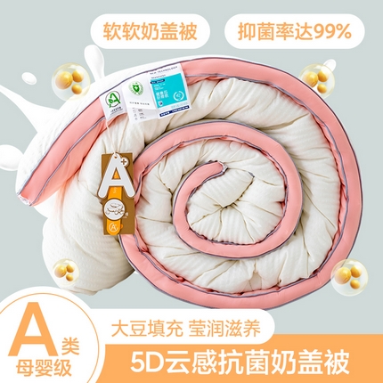 91家纺网 家纺一手货源 找家纺 （总）金喜 2025新款5D云感烫金立体边被芯春秋被冬被子加厚被芯