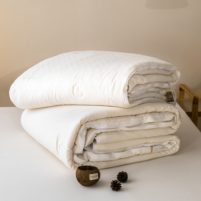 91家纺网 家纺一手货源 找家纺 A+爱家（纪梵茜）  2024新款A类元棉豆眠80大豆被被子被芯冬被子母被 80大豆被-豆眠子母被