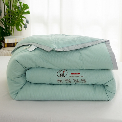 梦莎被业 2025新款直播款A类母婴级泡泡纱大豆纤维春秋被空调被加厚冬被 浅绿