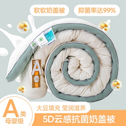 91家纺网 家纺一手货源 找家纺 （总）金喜 2025新款5D云感烫金立体边被芯春秋被冬被子加厚被芯