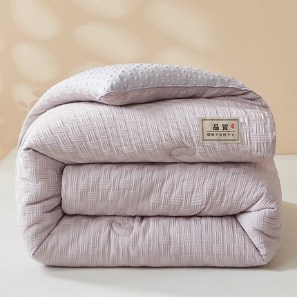 91家纺网 家纺一手货源 找家纺 （总）金喜 2025新款正宗5D立体饼干花豆豆抗压冬被春秋被被子被芯