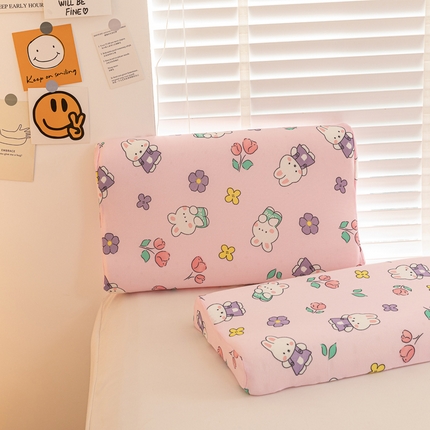 其乐枕芯 2024新款儿童卡通记忆枕枕芯枕头 花园兔27*44/只