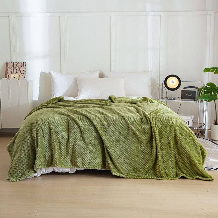 91家纺网 家纺一手货源 找家纺 卡琪曼 2024新款保暖菠萝格贝贝绒毛毯毯子 抹茶绿