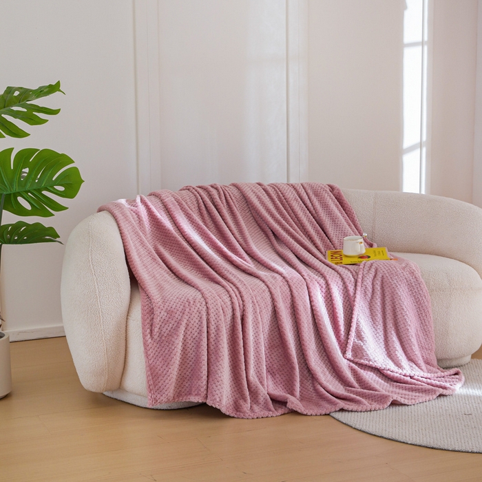 91家纺网 家纺一手货源 找家纺 卡琪曼 2024新款保暖菠萝格贝贝绒毛毯毯子 豆沙紫