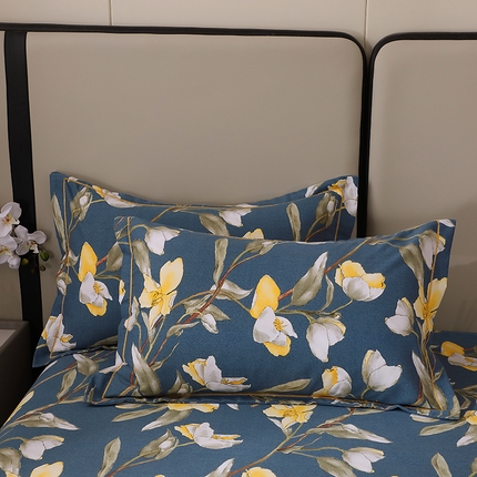 91家纺网 家纺一手货源 找家纺 （总）贝兰仙奴 2024新款利兹系列磨毛多规格单枕套