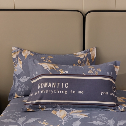 91家纺网 家纺一手货源 找家纺 （总）贝兰仙奴 2024新款利兹系列磨毛多规格单枕套