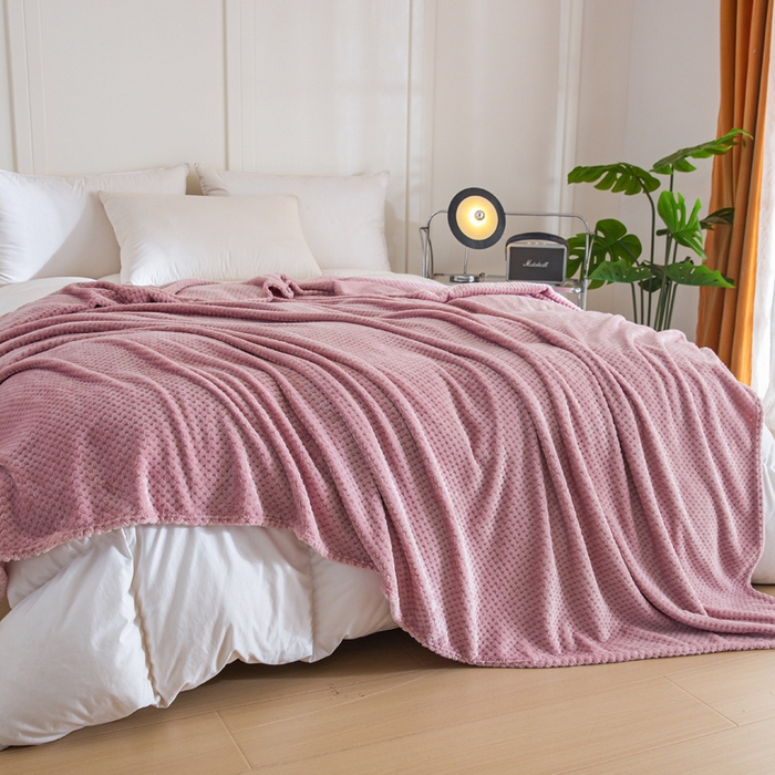 91家纺网 家纺一手货源 找家纺 卡琪曼 2024新款保暖菠萝格贝贝绒毛毯毯子 豆沙紫