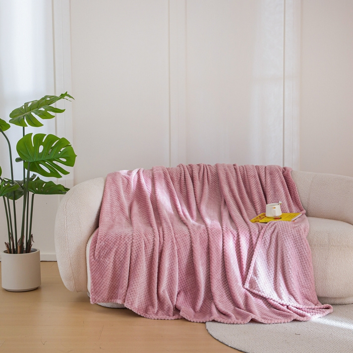 91家纺网 家纺一手货源 找家纺 卡琪曼 2024新款保暖菠萝格贝贝绒毛毯毯子 豆沙紫