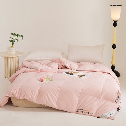 91家纺网 家纺一手货源 找家纺 （总）兰言诺 2025新款亲羽棉单边夏被鹅绒被