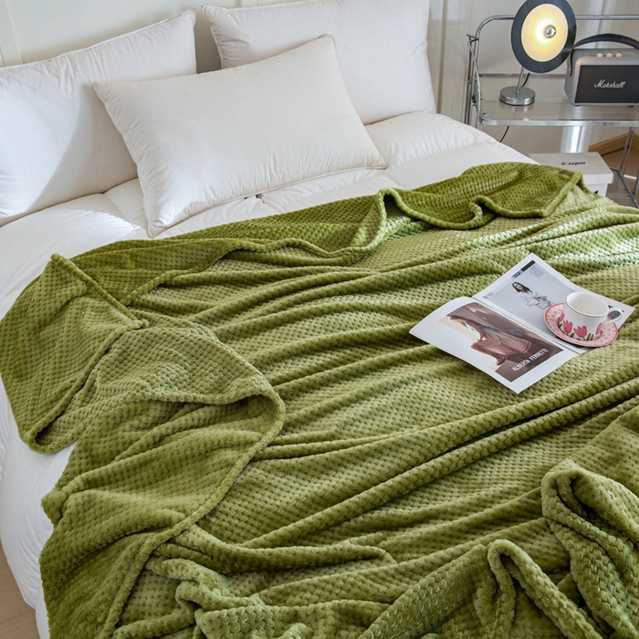 91家纺网 家纺一手货源 找家纺 卡琪曼 2024新款保暖菠萝格贝贝绒毛毯毯子 抹茶绿