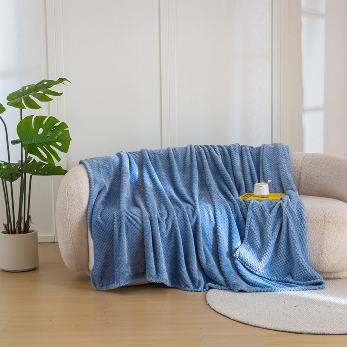 91家纺网 家纺一手货源 找家纺 卡琪曼 2024新款保暖菠萝格贝贝绒毛毯毯子 雾蓝