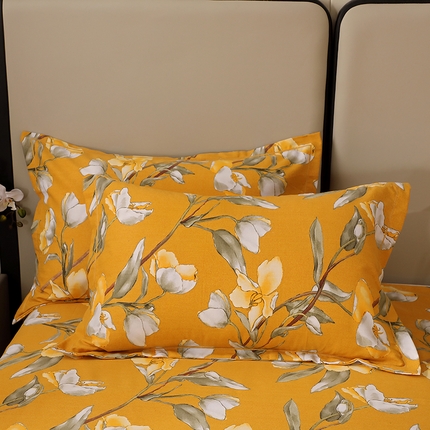 91家纺网 家纺一手货源 找家纺 （总）贝兰仙奴 2024新款利兹系列磨毛多规格单枕套