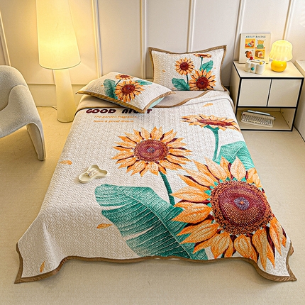 91家纺网 家纺一手货源 找家纺 （总）源舜家纺 2025新款AB版云貂绒床盖 开心熊