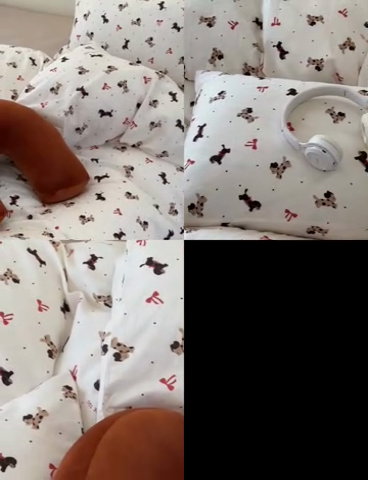 91家纺网 家纺一手货源 找家纺 洋铭区（原狠狠爱） 2024新款无边全棉双层纱四件套 蝴蝶小咖狗