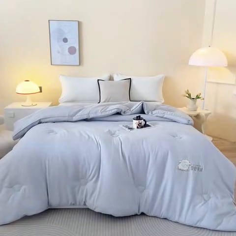 91家纺网 家纺一手货源 找家纺 佳居缘 2024新款云柔棉羊绒大豆被 灰色