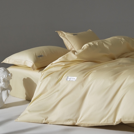 91家纺网 家纺一手货源 找家纺 （总）798家纺 2025新款纯色全棉贡缎单品系列-单被套