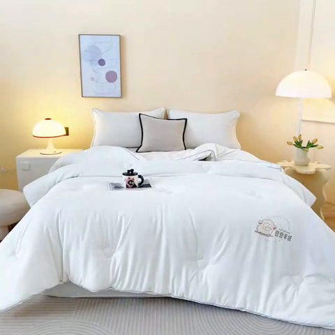 91家纺网 家纺一手货源 找家纺 佳居缘 2024新款云柔棉羊绒大豆被 白色