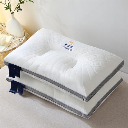 91家纺网 家纺一手货源 找家纺 （总）2024新款太空舱保健枕枕头枕芯