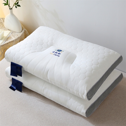 （总）2024新款太空舱保健枕枕头枕芯