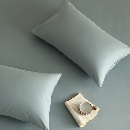 91家纺网 家纺一手货源 找家纺 （总）轩和家居 2024新款50S长绒棉磨毛单枕套