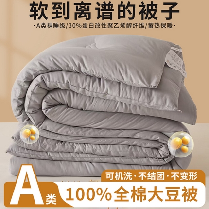 91家纺网 家纺一手货源 找家纺 （总）初相识被业 2025新款1全棉大豆被被子被芯冬被